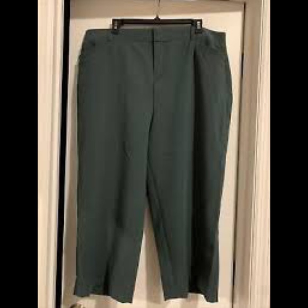 NWT Torrid Pants